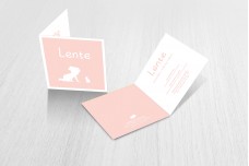 Meisje met konijntje